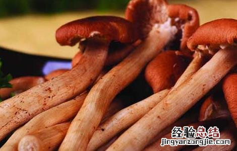 孕妇能吃茶树菇吗前三个月 孕妇能吃茶树菇吗?