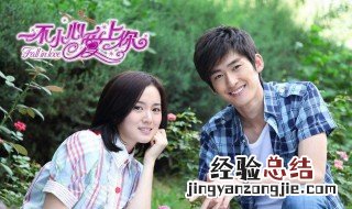 爱上你电视剧结局 结局剧情介绍