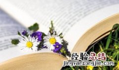 关于文化重要性的名言名句 关于文化的经典名言