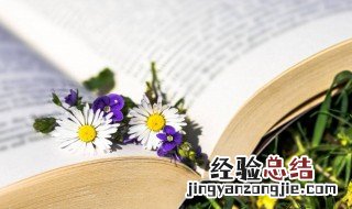 关于文化重要性的名言名句 关于文化的经典名言