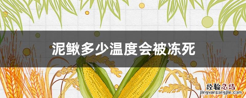 泥鳅多少温度会被烫死 泥鳅多少温度会被冻死