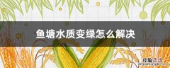 鱼塘水变绿的原因及解决方法 鱼塘水质变绿怎么解决