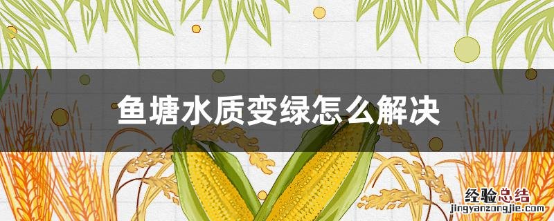 鱼塘水变绿的原因及解决方法 鱼塘水质变绿怎么解决