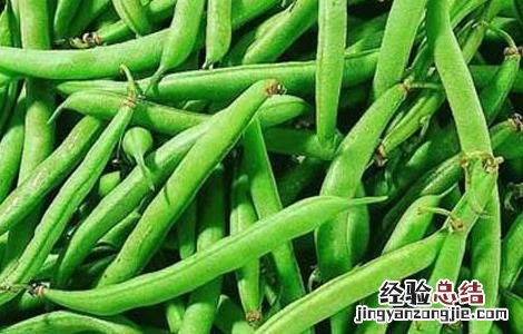 孕妇能吃四季豆吗晚期 孕妇能吃四季豆吗