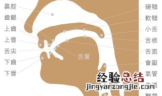 英语发音嘴型怎么都不标准 按下文多练习