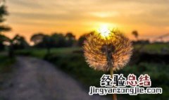 简短的优美句子越短越好 简短的优美句子精选