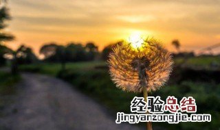 简短的优美句子越短越好 简短的优美句子精选