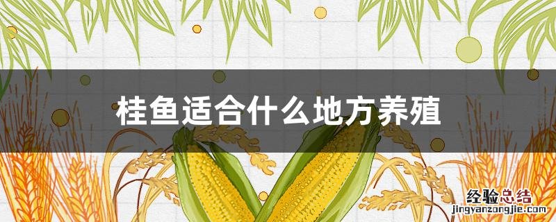桂鱼适合什么地方养殖 桂鱼有没有养殖的