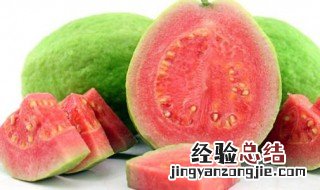 芭乐的籽可以吃吗 白心芭乐的籽可以吃吗