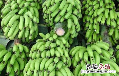 香蕉不能和什么一起吃 香蕉不能和什么一起吃 禁忌