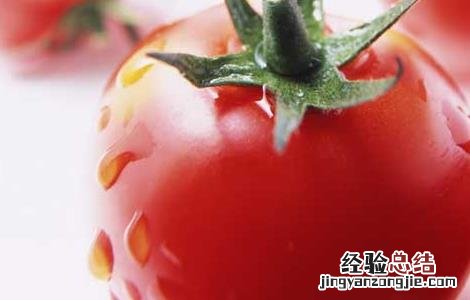 孕妇可以吃西红柿吗 孕妇可以吃西红柿吗早期
