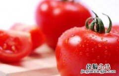 孕妇可以吃西红柿吗 孕妇可以吃西红柿吗早期