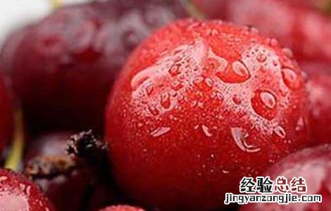 孕妇能吃车厘子吗 孕早期 孕妇能吃车厘子吗