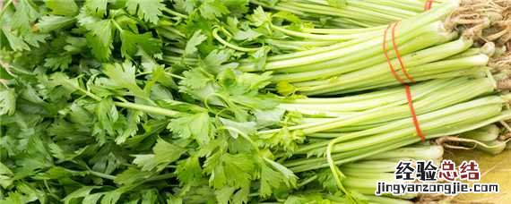 芹菜长得慢怎么解决视频 芹菜长得慢怎么解决