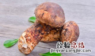 松茸的吃法及做法视频 松茸的吃法及做法