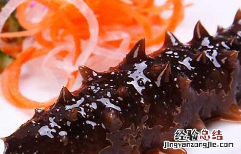 孕妇能吃海参吗中期 孕妇能吃海参吗