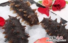 孕妇能吃海参吗中期 孕妇能吃海参吗