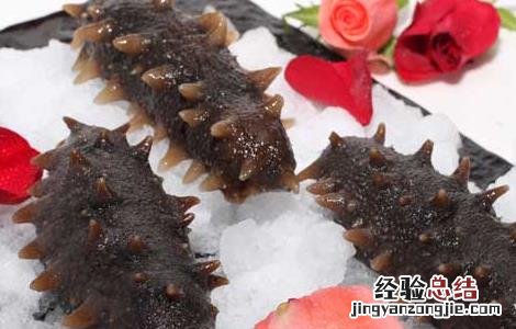 孕妇能吃海参吗中期 孕妇能吃海参吗