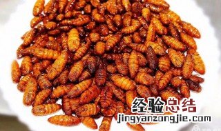 炒蚕蛹家常做法 炒蚕蛹