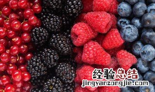 花青素含量高的食物 花青素含量高的食物介绍