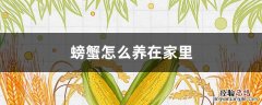 螃蟹怎么养在家里能活 螃蟹怎么养在家里