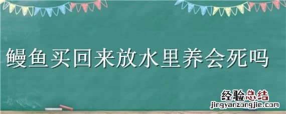 鳗鱼买回来放水里养会死吗 鳗鱼不放水可以活多久