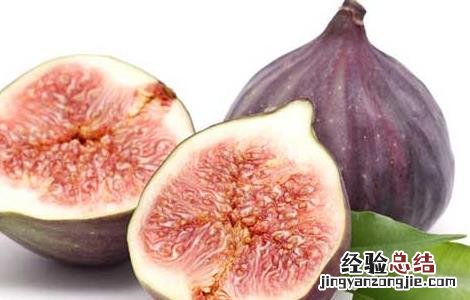 孕妇能吃无花果吗? 孕妇能吃无花果吗