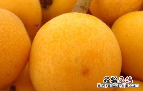 孕妇可以吃枇杷吗 孕妇可以吃枇杷吗早期