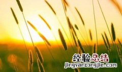 八字哲理名言短句 八字哲理名言