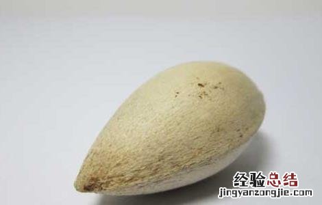 白果中毒的症状及防治办法 白果中毒症状及治疗方法