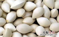 白果中毒的症状及防治办法 白果中毒症状及治疗方法