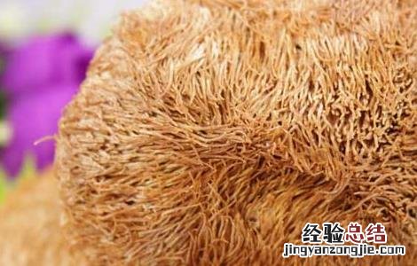 孕妇可以吃猴头菇吗早期 孕妇可以吃猴头菇吗