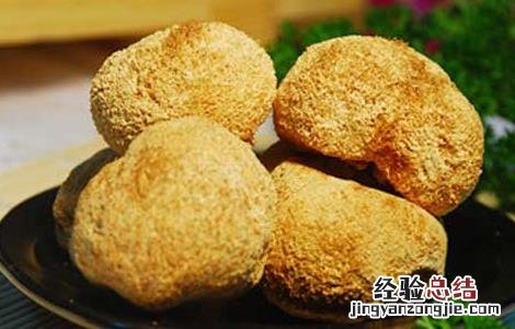 孕妇可以吃猴头菇吗早期 孕妇可以吃猴头菇吗
