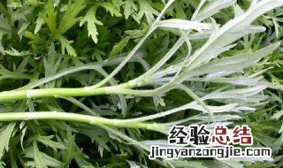 泥蒿的叶子能不能吃 泥蒿的叶子能吃吗