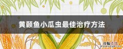 黄颡鱼小瓜虫最佳治疗方法 杀黄颡鱼小瓜子虫