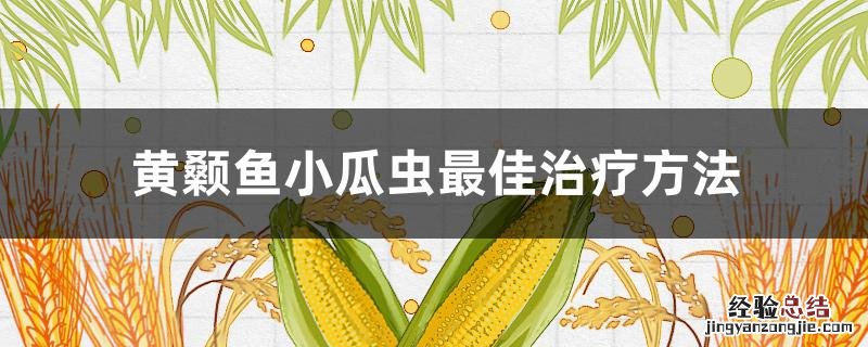 黄颡鱼小瓜虫最佳治疗方法 杀黄颡鱼小瓜子虫