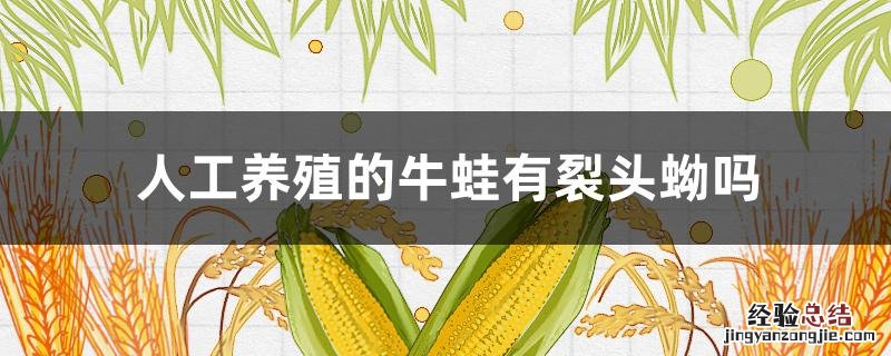 养的牛蛙有没有裂头蚴 人工养殖的牛蛙有裂头蚴吗