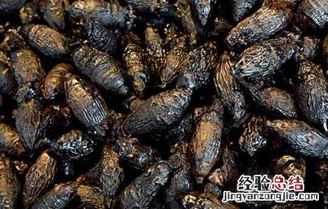 孕妇能吃槟榔吗 孕妇能吃槟榔吗?产妇能吃槟榔吗?婴幼儿能吃槟...