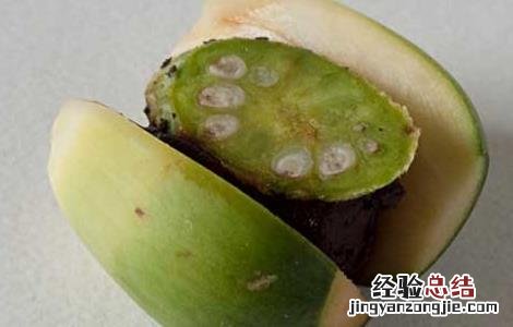 孕妇能吃槟榔吗 孕妇能吃槟榔吗?产妇能吃槟榔吗?婴幼儿能吃槟...
