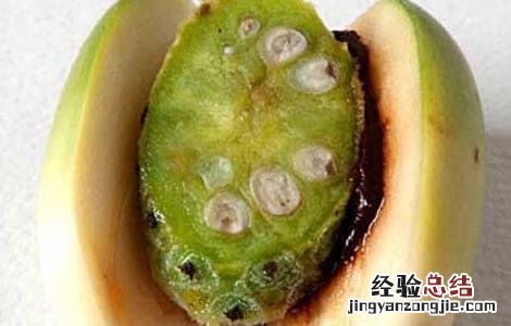孕妇能吃槟榔吗 孕妇能吃槟榔吗?产妇能吃槟榔吗?婴幼儿能吃槟...