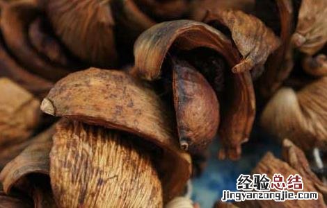 孕妇能吃槟榔吗 孕妇能吃槟榔吗?产妇能吃槟榔吗?婴幼儿能吃槟...