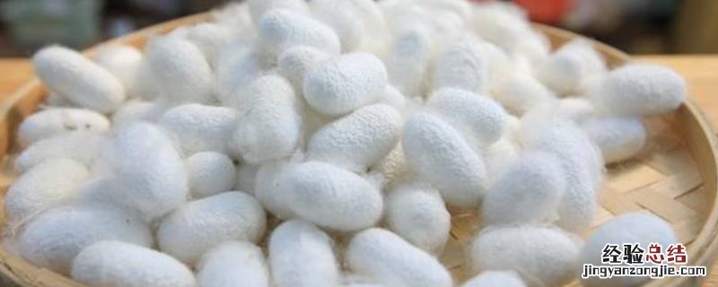 蚕卵如何处理 蚕卵太多怎么处理