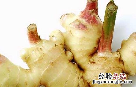 生姜发芽能吃吗会带来什么危害 生姜发芽能吃吗