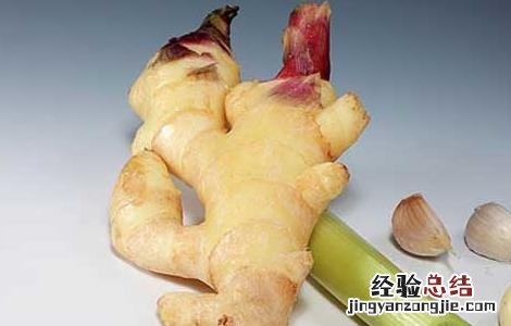 生姜发芽能吃吗会带来什么危害 生姜发芽能吃吗