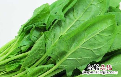 孕妇能吃菠菜吗? 孕妇能吃菠菜吗中期