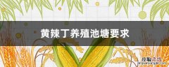 黄辣丁养殖池塘要求 黄辣丁养殖水质要求