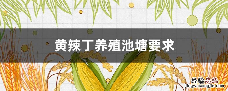 黄辣丁养殖池塘要求 黄辣丁养殖水质要求