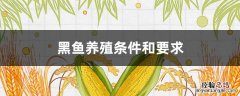 黑鱼养殖条件和要求气温 黑鱼养殖条件和要求