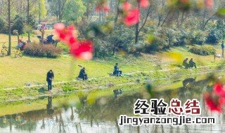 春季钓鱼早上好呢还是下午好 春季钓鱼上午还是下午好