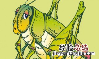 东亚飞蝗养殖技术 东亚飞蝗养殖技术要求